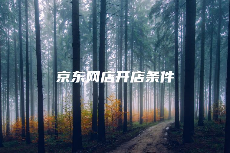 京东网店开店条件