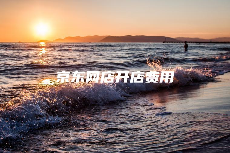 京东网店开店费用