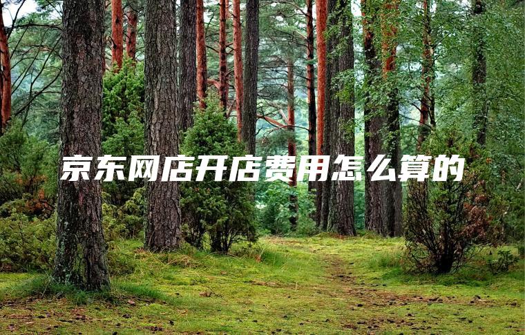 京东网店开店费用怎么算的 京东网店开店费用怎么算的