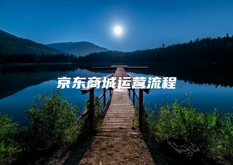 京东商城运营流程