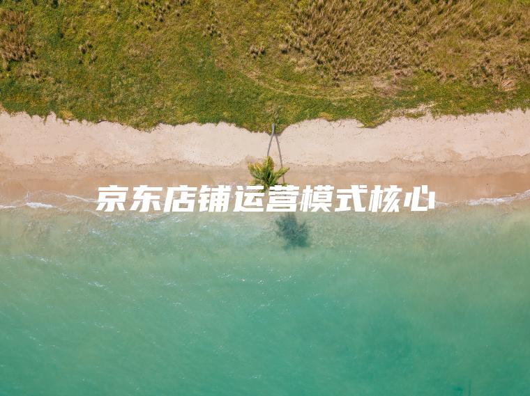 京东店铺运营模式核心 京东店铺运营模式核心