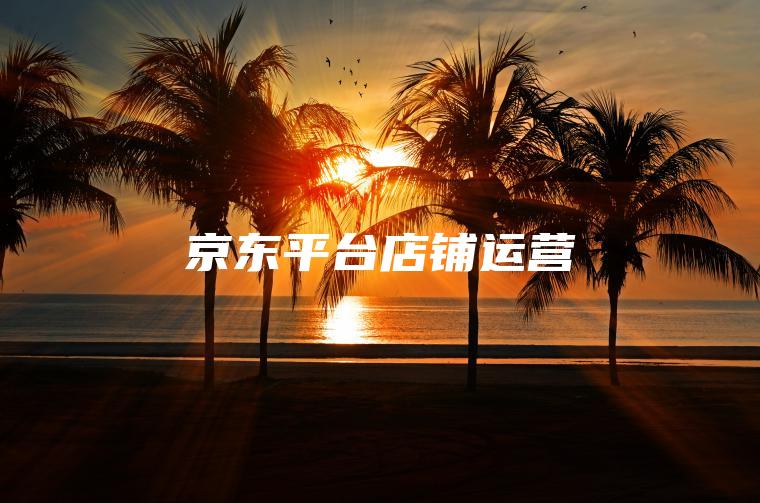 京东平台店铺运营