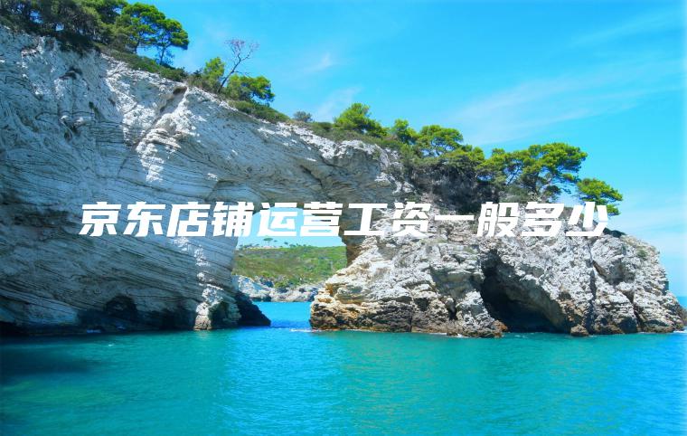 京东店铺运营工资一般多少 京东店铺运营工资一般多少