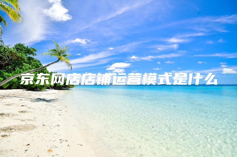 京东网店店铺运营模式是什么