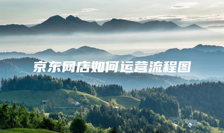 京东网店如何运营流程图