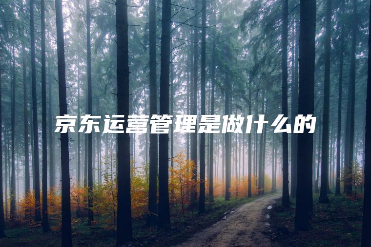 京东运营管理是做什么的