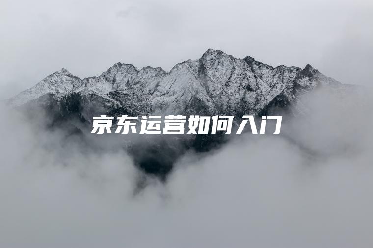 京东运营如何入门