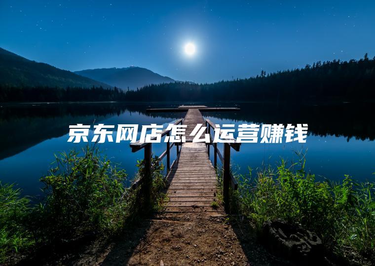 京东网店怎么运营赚钱