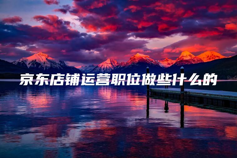 京东店铺运营职位做些什么的