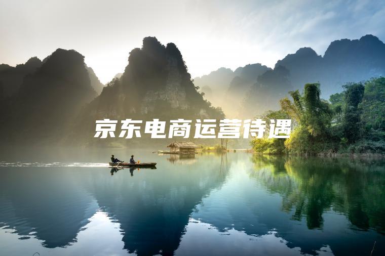 京东电商运营待遇