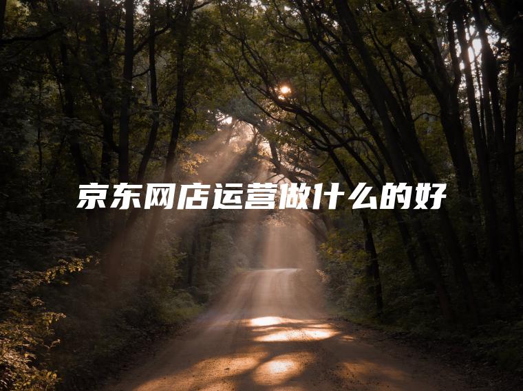 京东网店运营做什么的好 京东网店运营做什么的好