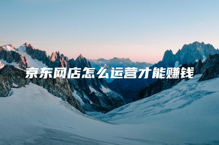 京东网店怎么运营才能赚钱 京东网店怎么运营才能赚钱