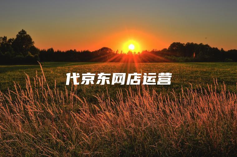 代京东网店运营