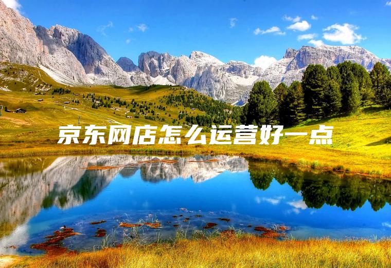 京东网店怎么运营好一点
