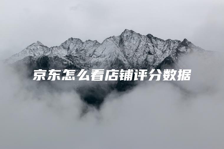 京东怎么看店铺评分数据 京东怎么看店铺评分数据