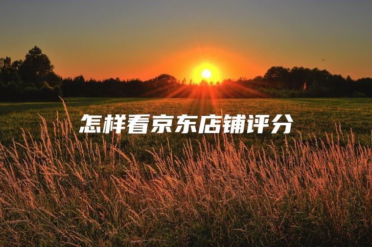 怎样看京东店铺评分