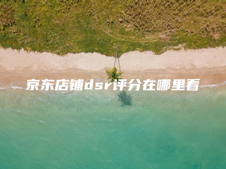 京东店铺dsr评分在哪里看