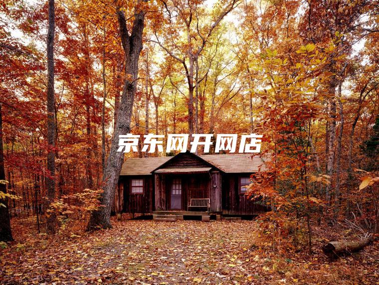 京东网开网店 京东网开网店