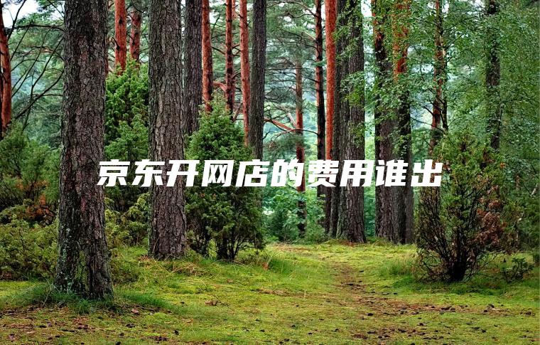 京东开网店的费用谁出