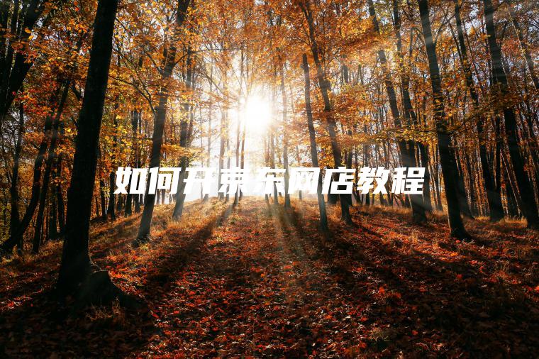 如何开京东网店教程 如何开京东网店教程