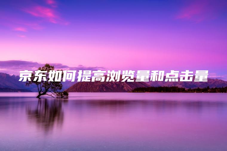 京东如何提高浏览量和点击量