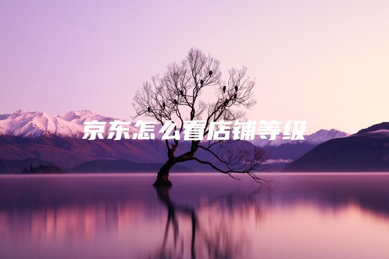 京东怎么看店铺等级 京东怎么看店铺等级