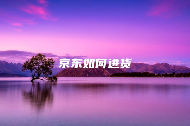 京东如何进货