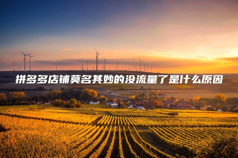 拼多多店铺莫名其妙的没流量了是什么原因
