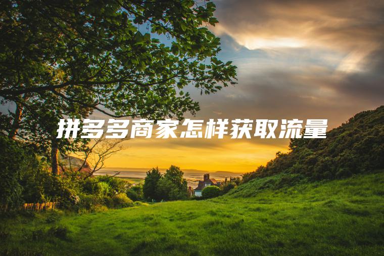 拼多多商家怎样获取流量