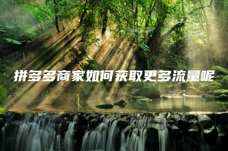 拼多多商家如何获取更多流量呢