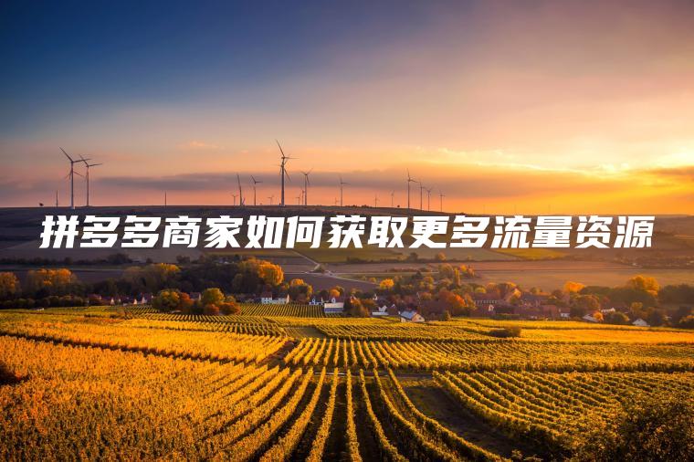 拼多多商家如何获取更多流量资源