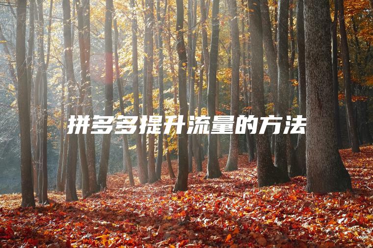 拼多多提升流量的方法