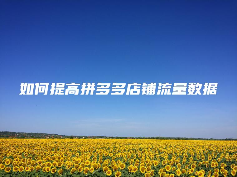 如何提高拼多多店铺流量数据