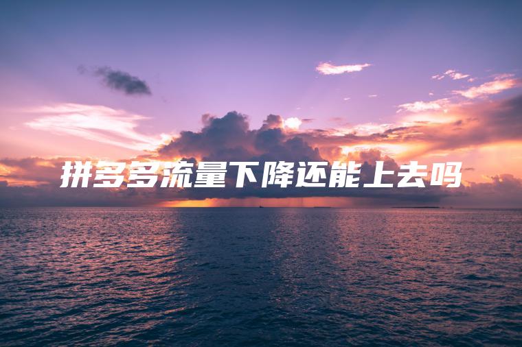 拼多多流量下降还能上去吗 拼多多流量下降还能上去吗