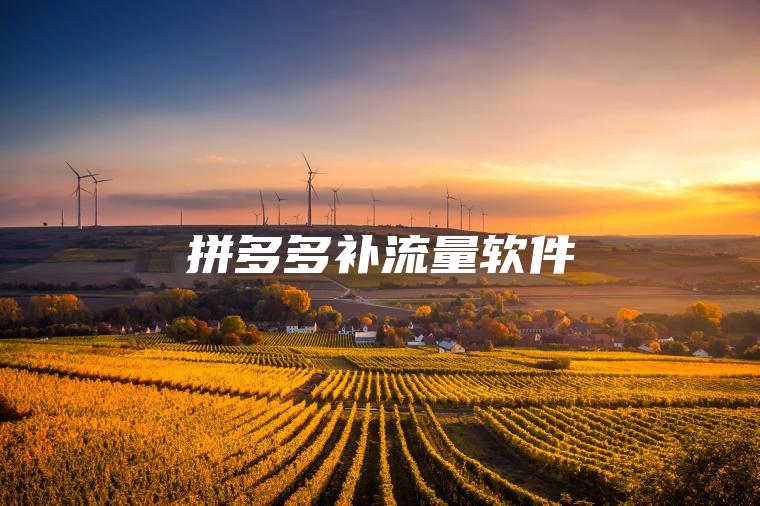 拼多多补流量软件