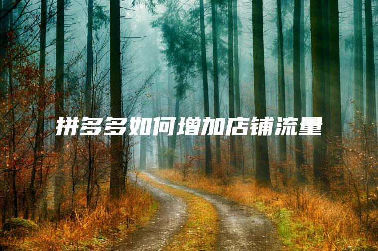 拼多多如何增加店铺流量