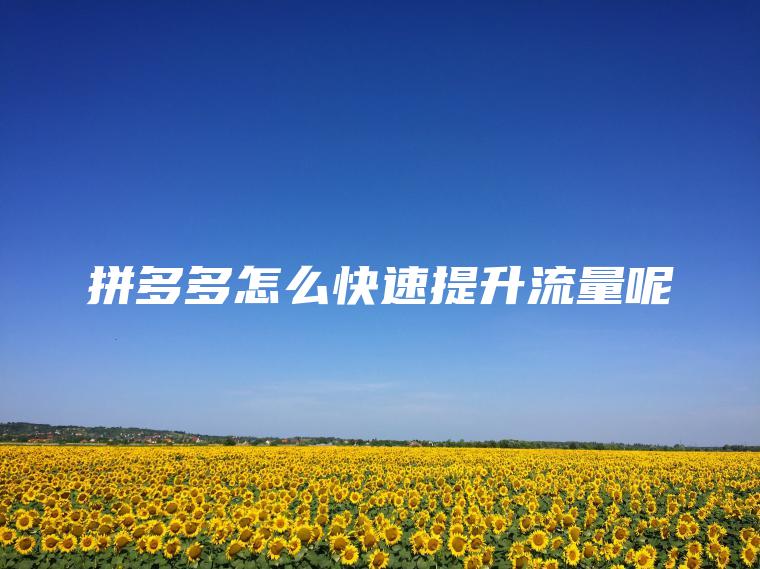 拼多多怎么快速提升流量呢