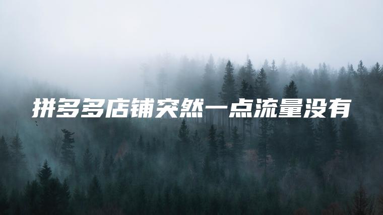 拼多多店铺突然一点流量没有 拼多多店铺突然一点流量没有