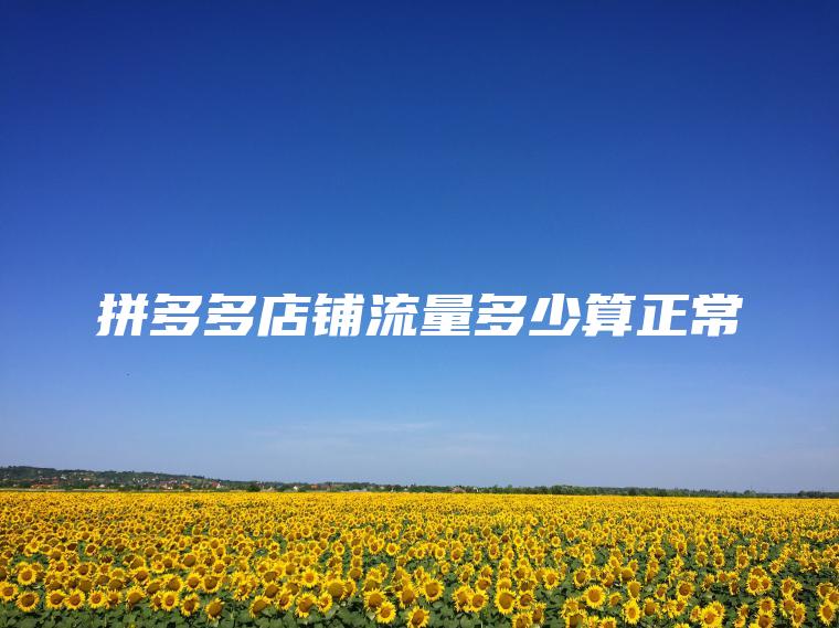 拼多多店铺流量多少算正常 拼多多店铺流量多少算正常