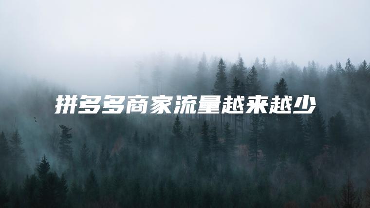 拼多多商家流量越来越少