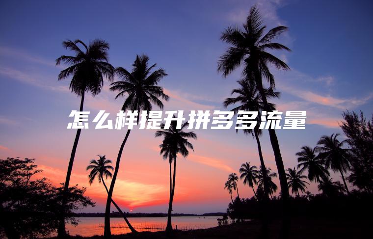 怎么样提升拼多多流量