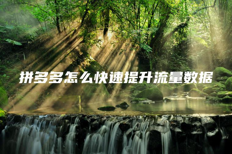 拼多多怎么快速提升流量数据