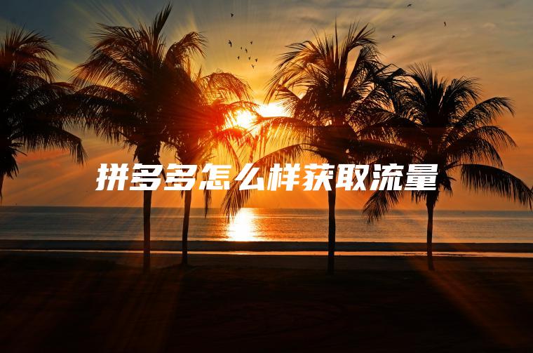 拼多多怎么样获取流量 拼多多怎么样获取流量