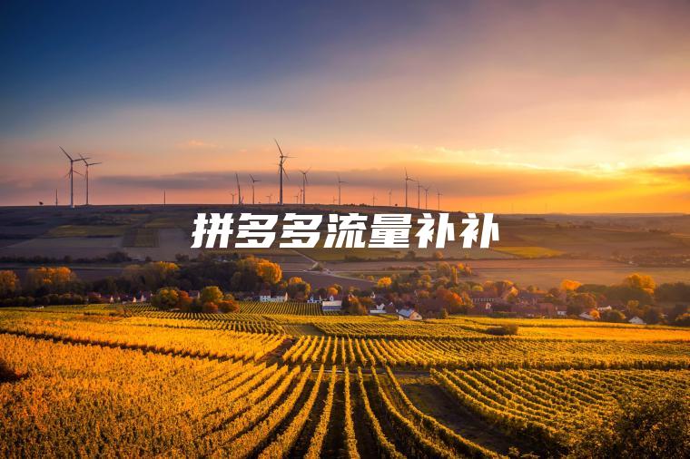 拼多多流量补补 拼多多流量补补