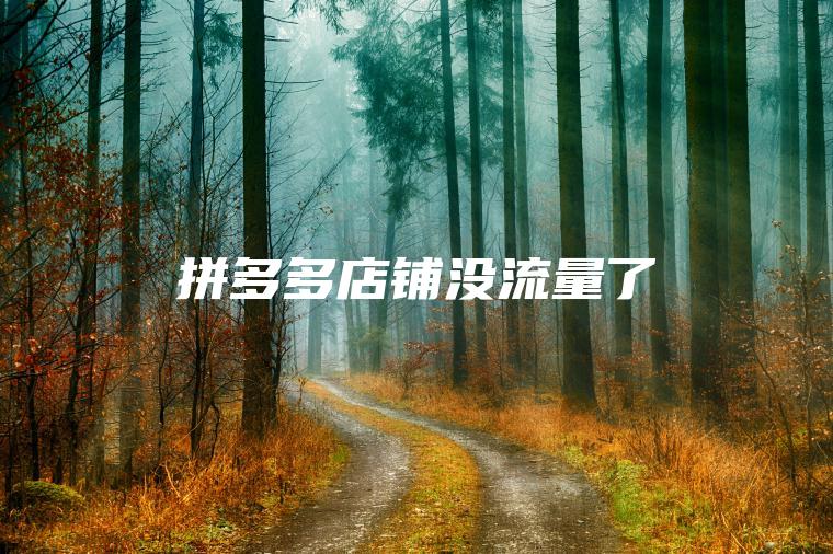 拼多多店铺没流量了