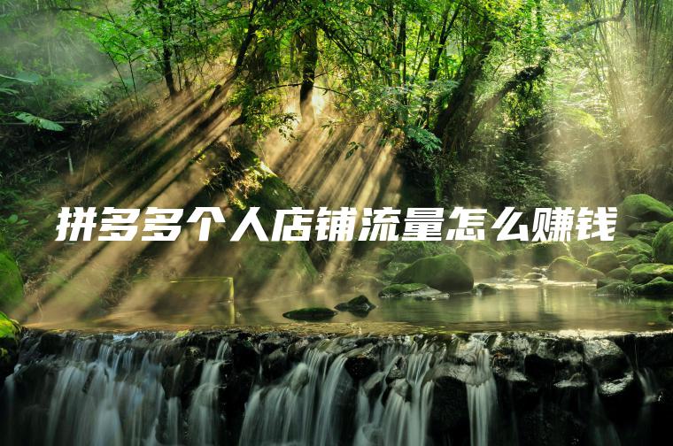 拼多多个人店铺流量怎么赚钱 拼多多个人店铺流量怎么赚钱