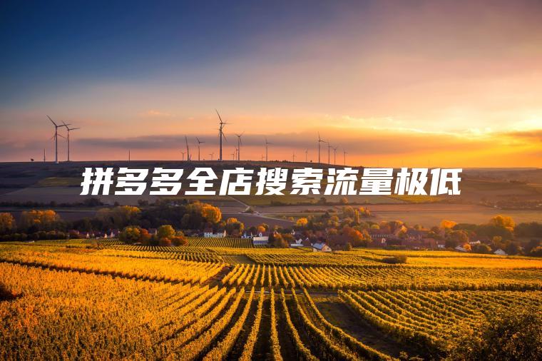 拼多多全店搜索流量极低 拼多多全店搜索流量极低