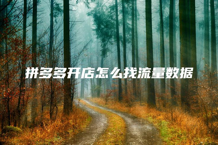 拼多多开店怎么找流量数据