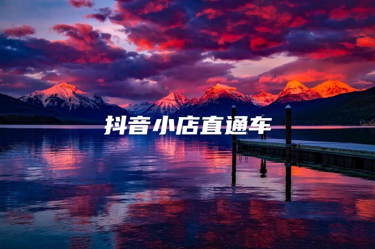 抖音小店直通车