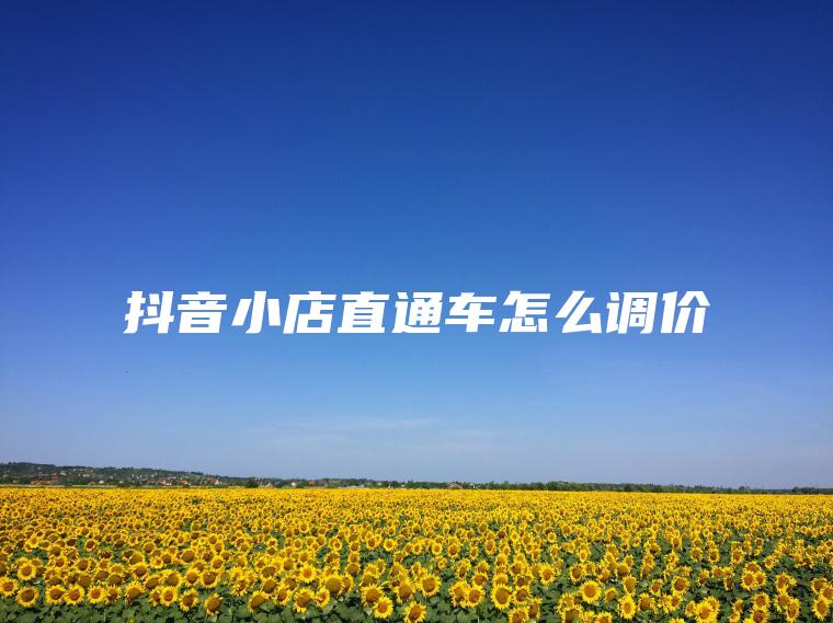 抖音小店直通车怎么调价